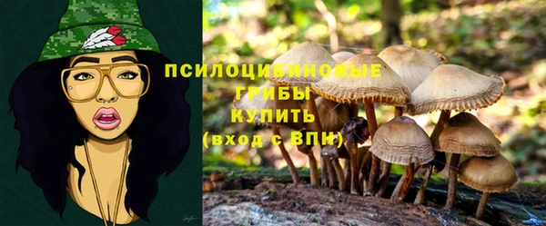 шишки Приозерск