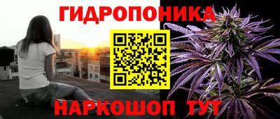стафф Обь