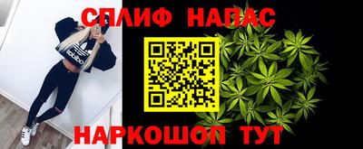 индика Нягань