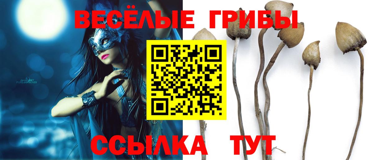 Псилоцибиновые грибы мухоморы Феодосия